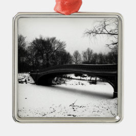 Winter Centeral Park NYC. Ornament Aus Metall