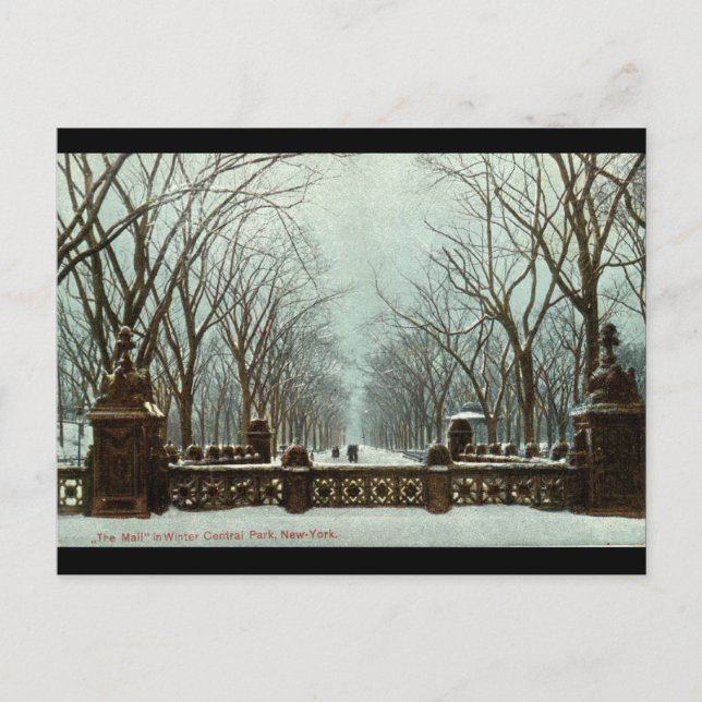 Winter Central Park NY Vintag c1910 Postkarte (Vorderseite)