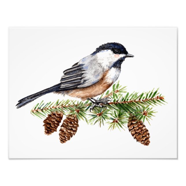 Winter Chickadee Fotodruck (Vorne)