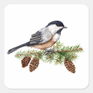 Winter Chickadee Quadratischer Aufkleber