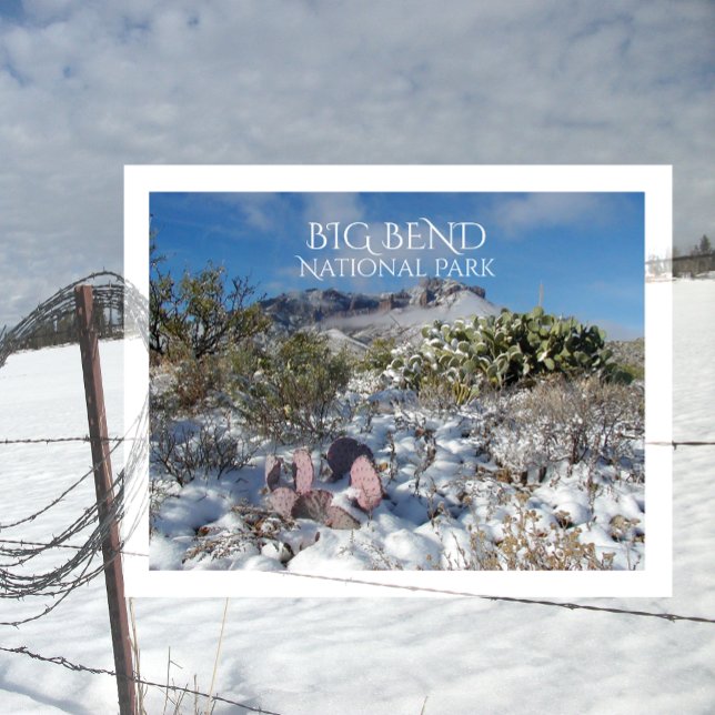 Winter, Chisos-Berge, Big Bend Nationalpark Postkarte (Von Creator hochgeladen)