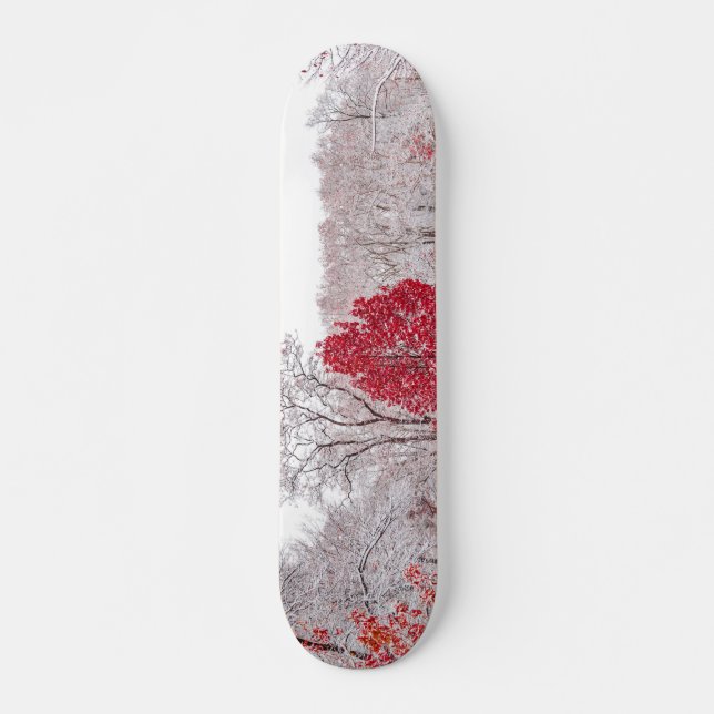 winter christmas 89 skateboard (Vorne)
