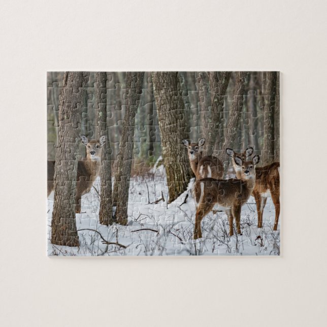 Winter Deer 10x8 herausfordernd (Horizontal)
