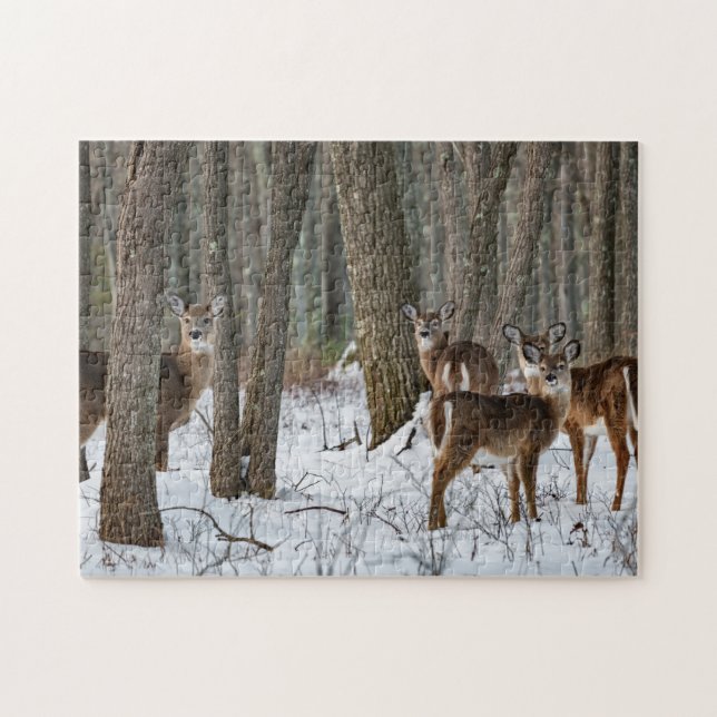 Winter Deer 14x11 herausfordernd (Horizontal)