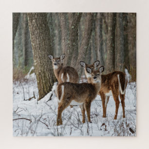 Winter Deer 20x20 herausfordernd