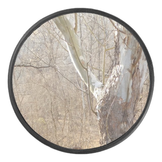 Winter Eishockey Puck (Vorderseite)