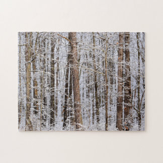 Winter-Eissturm im Wald - 11 x 14 Zoll