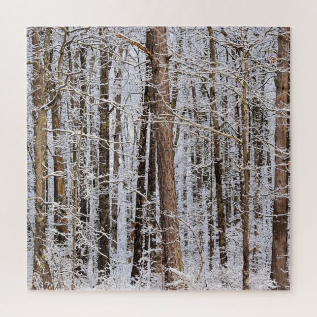 Winter-Eissturm im Wald - 20x20 Zoll (Vertikal)
