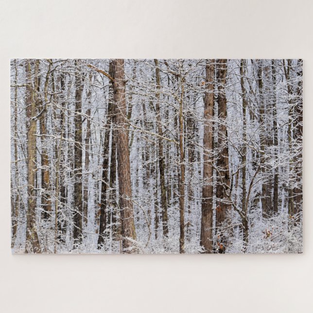 Winter-Eissturm im Wald - 20x30 Zoll (Horizontal)