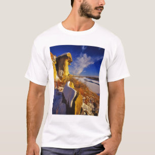 Winter entlang des Missouri-Flusses in der Nähe T-Shirt