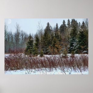 Winter-Farben Poster