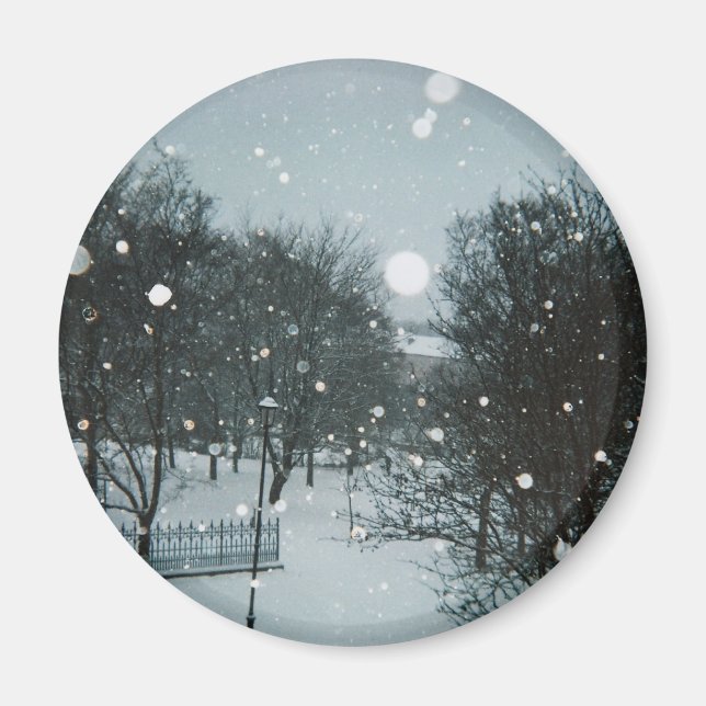 Winter Flakes Magnet (Vorne)