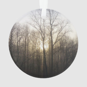 Winter Fog Sunrise Nature Photographie