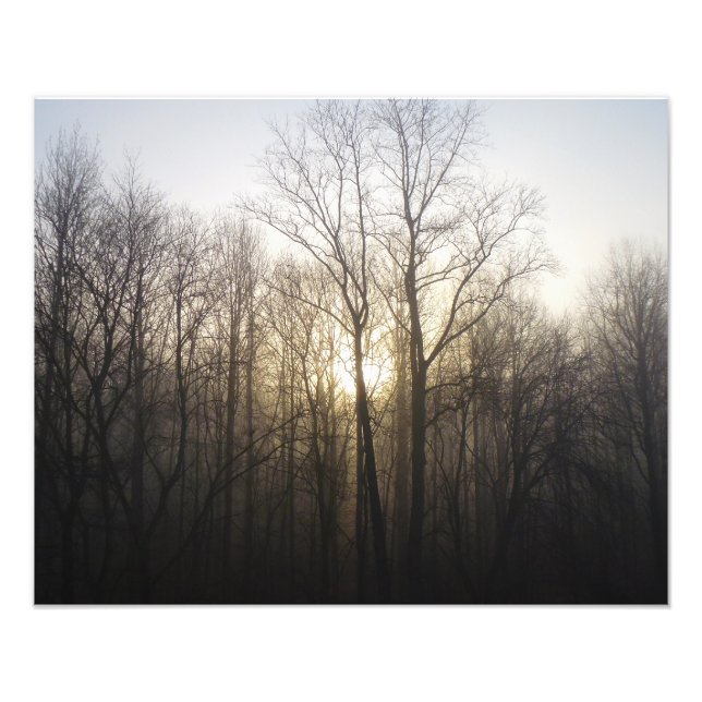 Winter Fog Sunrise Nature Photographie (Devant)