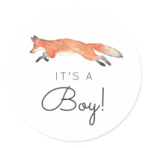 Winter Fox Baby Dusche