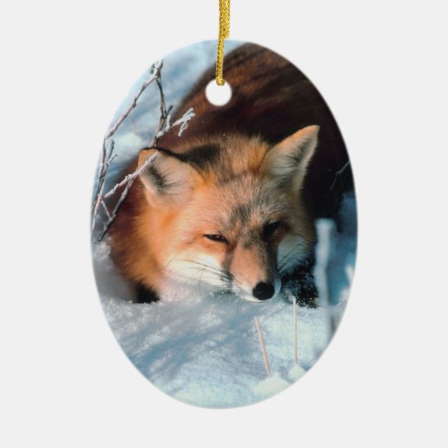 Winter Fox Wildlife Foto Weihnachtsschmuck (Vorne)