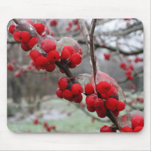 Winter Freeze and Ice on Red Berries Mousepad