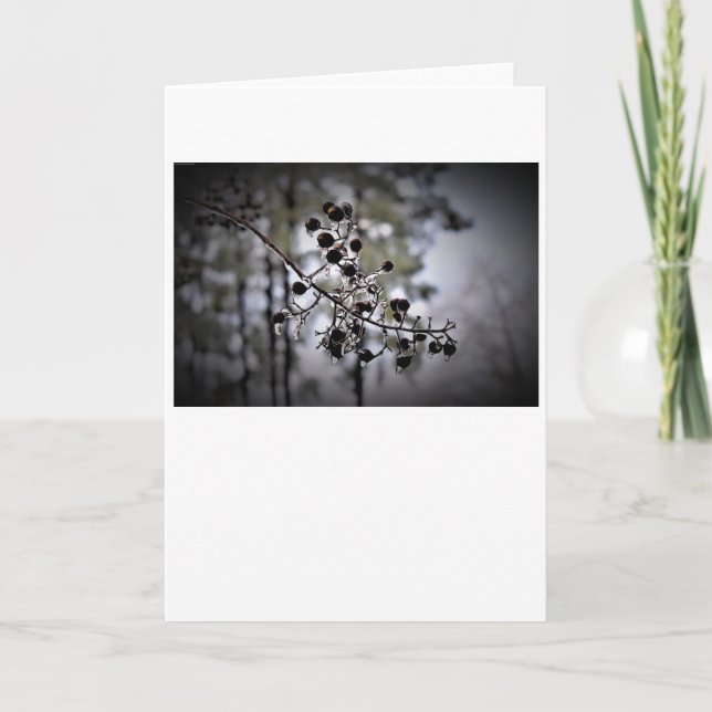 Winter Freeze, Karte (Vorderseite)