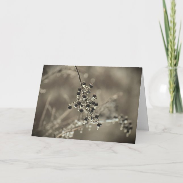 Winter Freeze, Karte (Vorderseite)