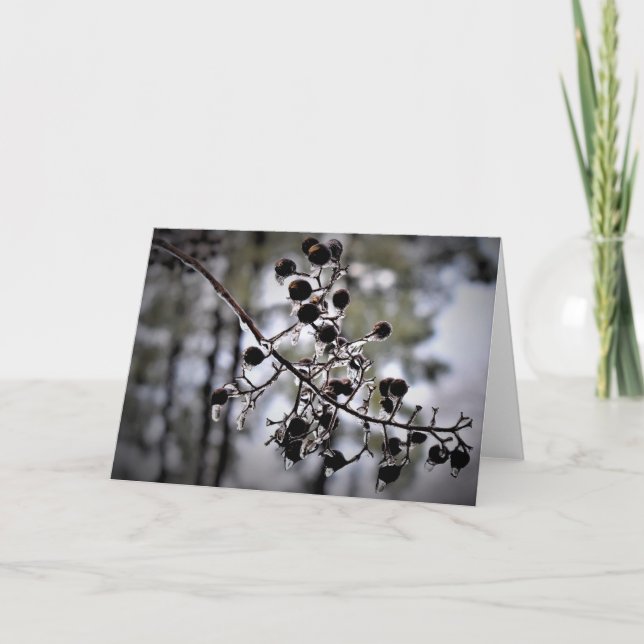 Winter Freeze, Karte (Vorderseite)