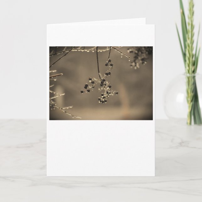 Winter Freeze, Karte (Vorderseite)