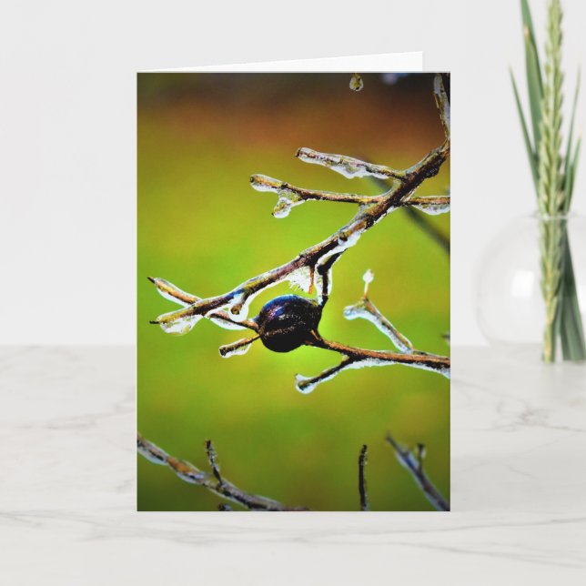 Winter Freeze, Karte (Vorderseite)