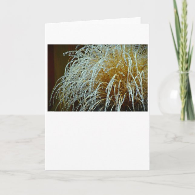 Winter Freeze, Karte (Vorderseite)