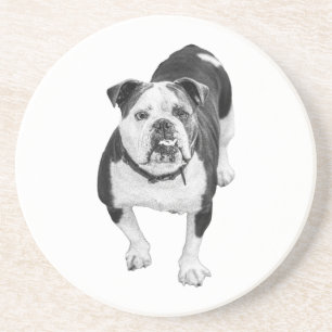 Winter-Freund, Bulldog-Getränkuntersetzer Getränkeuntersetzer