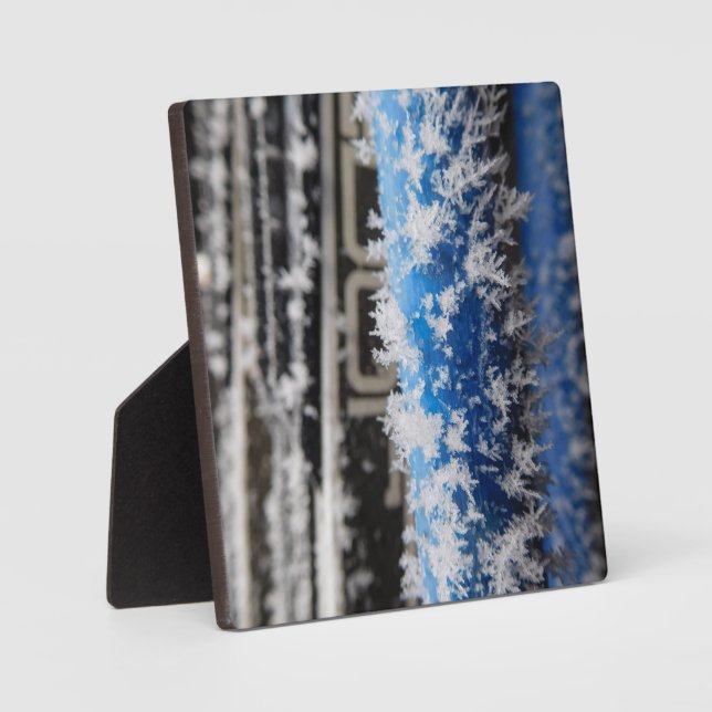 Winter Frost Desktop Plaque Fotoplatte (Vorderseite)