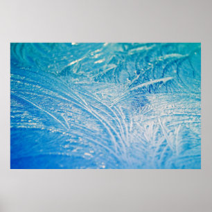 Winter Frost Poster