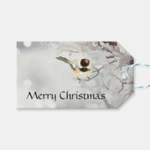 Winter Frosty Tree Chickadee Bird Individuelle Nam