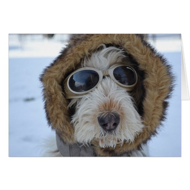 Winter Glamour (Vorderseite (Horizontal))