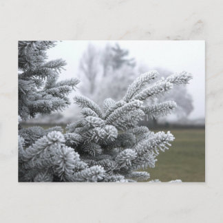 WINTER GREETINGS POSTKARTE