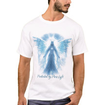 Winter Halo Guardian – Geschützt durch reines Lich