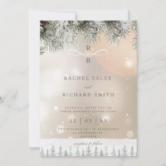 Winter Hochzeitseinladung Einladung