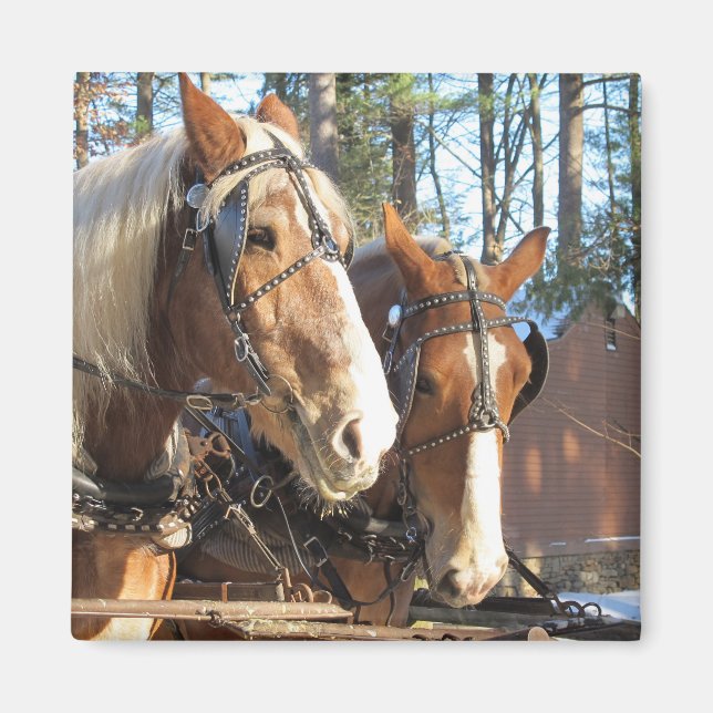 Winter Horses Sturbridge Village Magnet (Vorne)