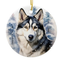 Winter Husky
