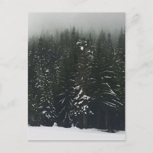 Winter im Bergwald, Oregon Postkarte