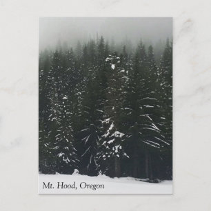 Winter im Bergwald, Oregon Postkarte