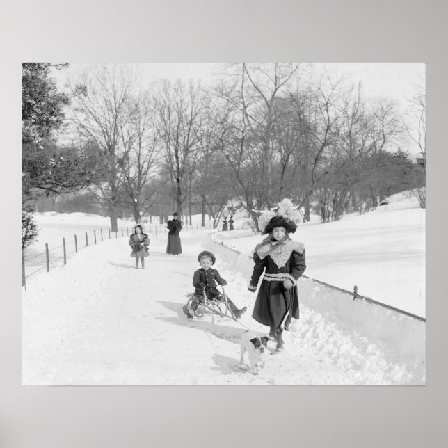 Winter im Central Park, 1900. Vintages Foto Poster (Vorne)