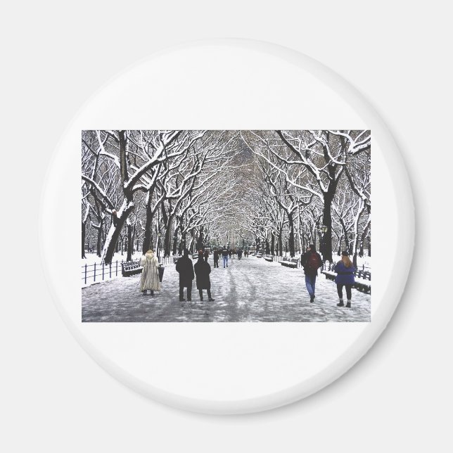Winter im Central Park NYC Magnet (Vorne)