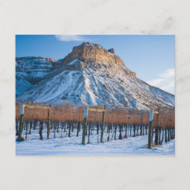 Winter im Colorado Weinland Postkarte