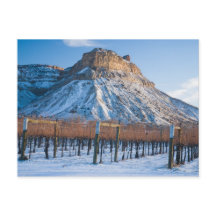 Winter im Colorado Weinland