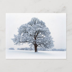 Winter im Heaton Park Postkarte