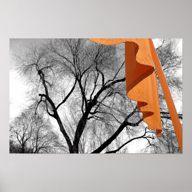 Winter im Park Poster (Vorne)