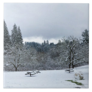 Winter im Park, Wilsonville, OR Fliese