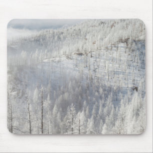 Winter im Pike National Forest Mousepad