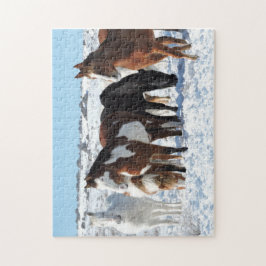 Winter im Sandwaschbecken