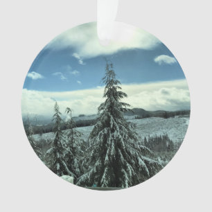 Winter im Tillamook Staat Forest, Oregon Ornament