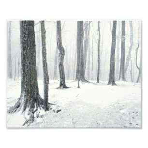 Winter im Wald Fotodruck